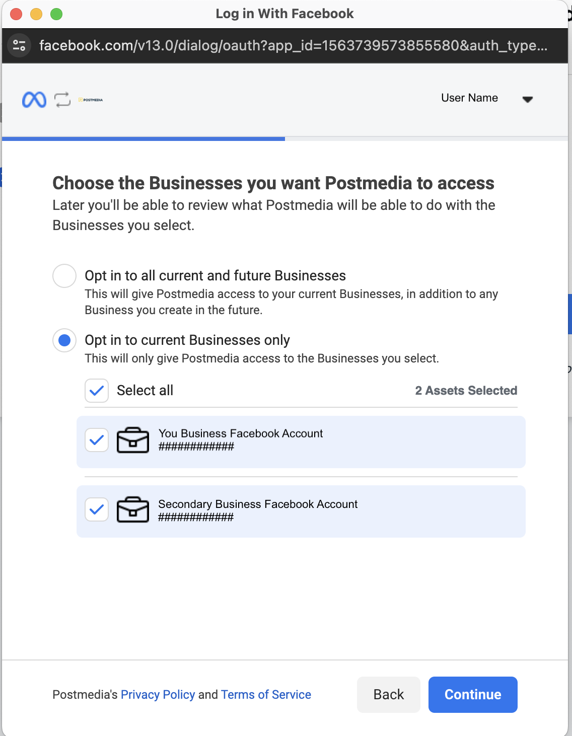 Select which Business Accounts to share permissions with